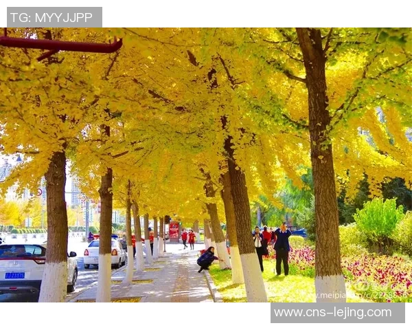 八一足球的辉煌历程与未来展望:传承精神与推动发展的双重使命